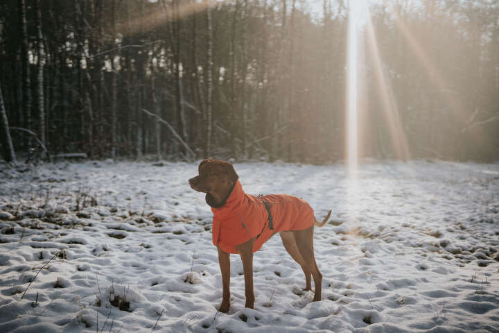 HUNTER Hundemantel Nordby